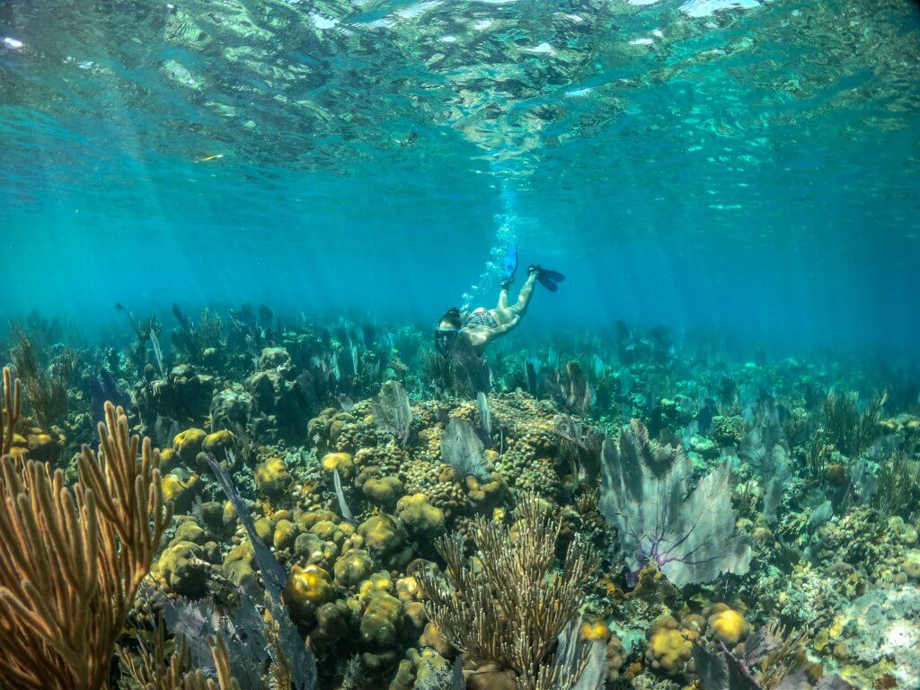 Belize Island Vacations