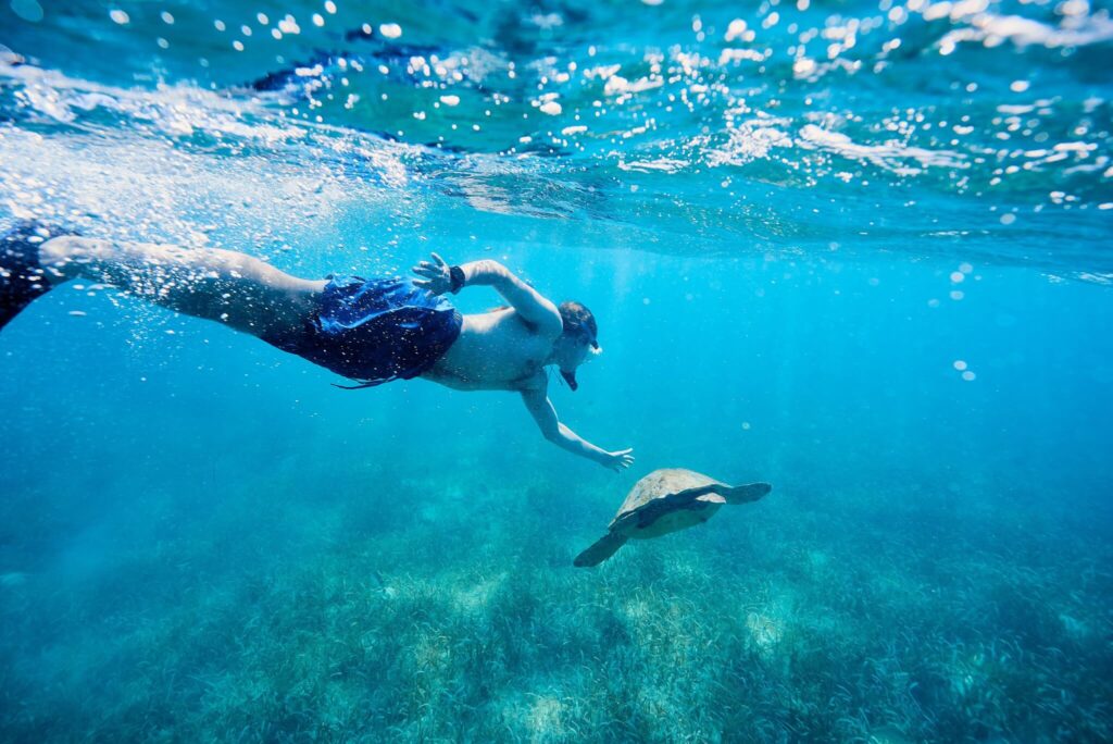 Your Sense of Adventure 