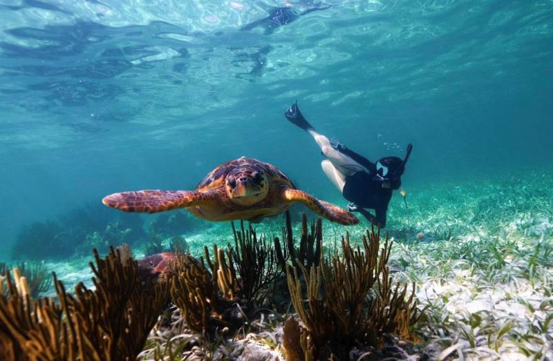  Belize underwater adventures