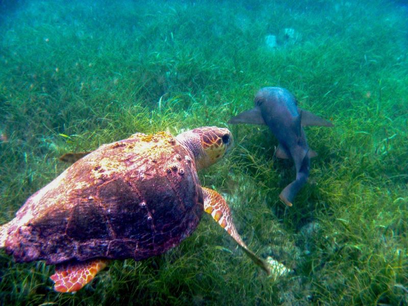  Belize family vacation