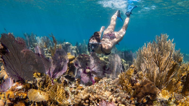  kids activities Belize