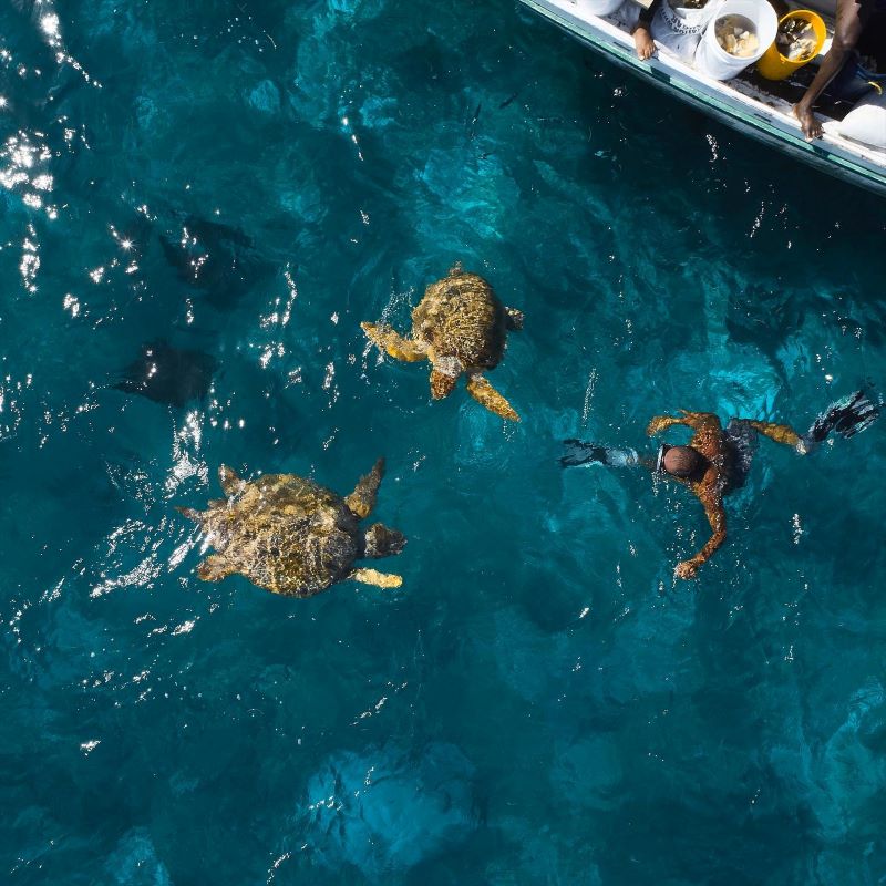  island vacations Belize