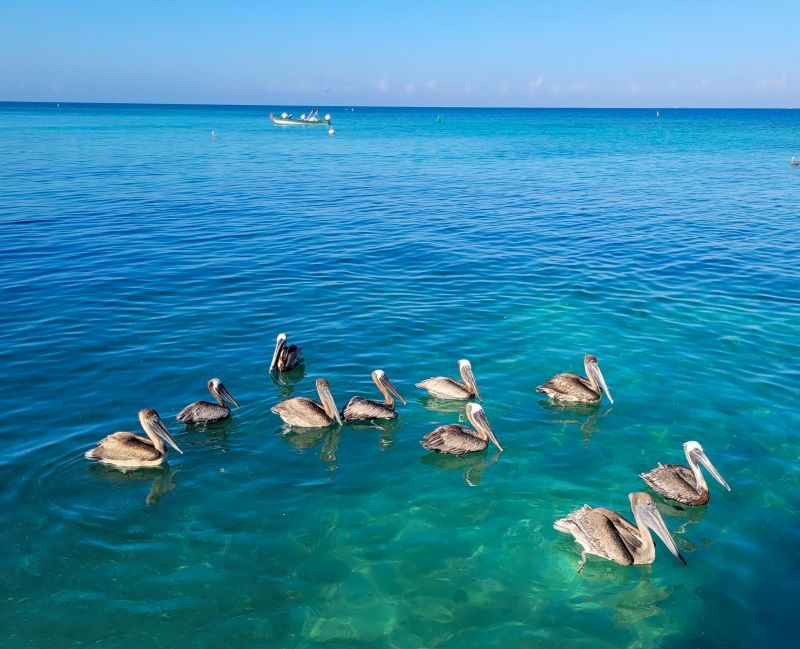 top activities Belize 2025