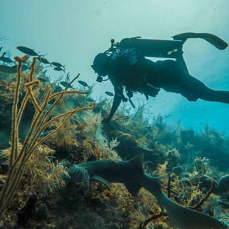  things to do in Belize May 