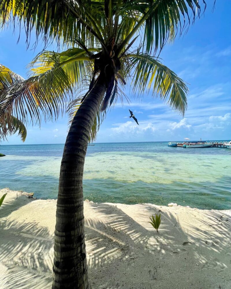 summer vacation Belize