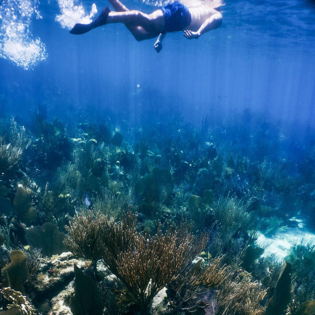 Belize island getaway