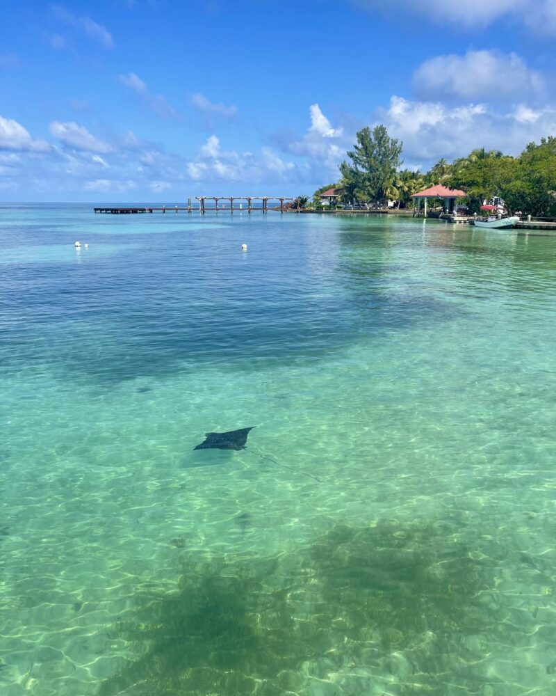 planning a trip to Belize