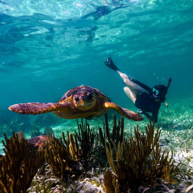 Belize island getaway