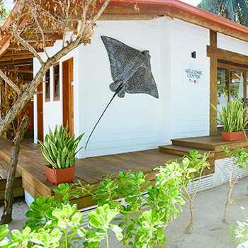 amenities - ray caye