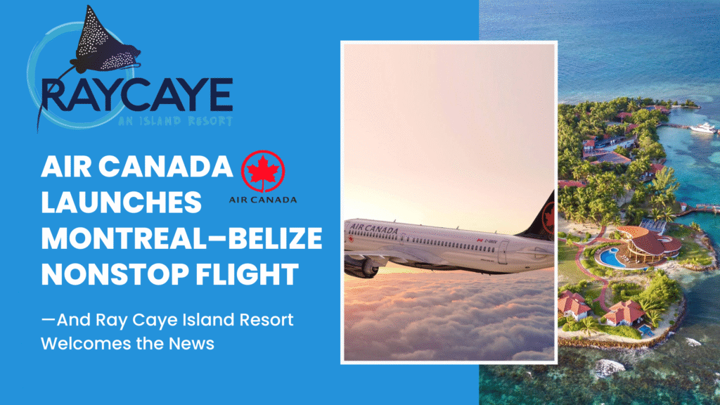 Montreal to Belize flight