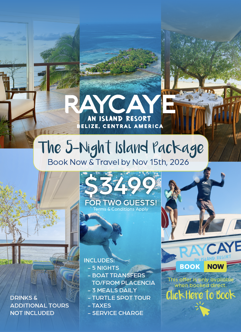 Image from raycaye.com